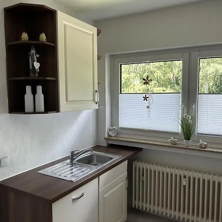 Ferienwohnung Sauerland An Der Ruhr Olsberg Extérieur photo