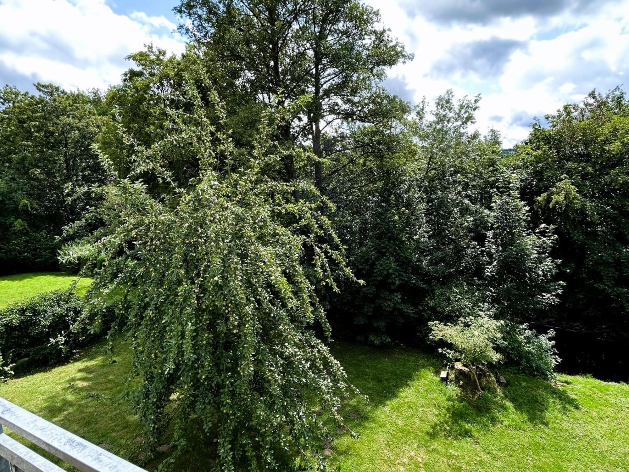 Sauerland An Der Ruhr